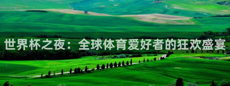 2006世界杯:世界杯之夜:全球体育爱好者的狂欢盛宴