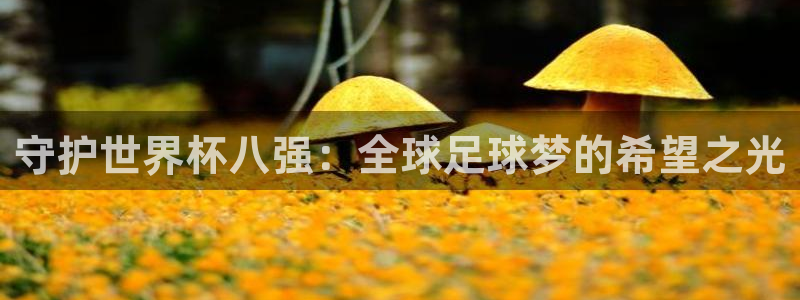 世界杯赛程表2026:守护世界杯八强:全球足球梦的希望之光