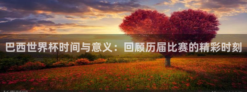 世界杯亚洲区预选赛:巴西世界杯时间与意义:回顾历届比赛的精彩时刻