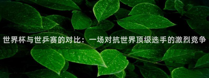 世界杯足球:世界杯与世乒赛的对比:一场对抗世界顶级选手的激烈竞争