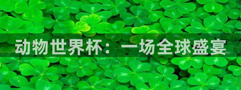 2026年世界杯对阵图:动物世界杯:一场全球盛宴