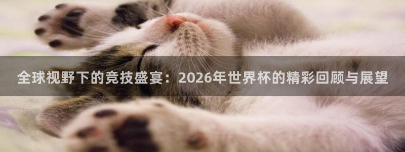 世界杯赛程表:全球视野下的竞技盛宴:2026年世界杯的精彩回顾与展望