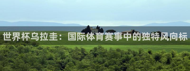 2026年足球世界杯赛程时间表:世界杯乌拉圭:国际体育赛事中的独特风向标