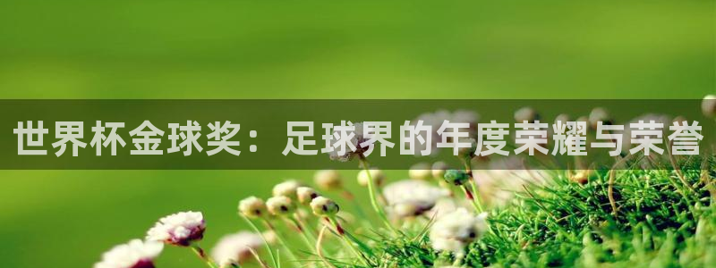 世界杯球队:世界杯金球奖:足球界的年度荣耀与荣誉