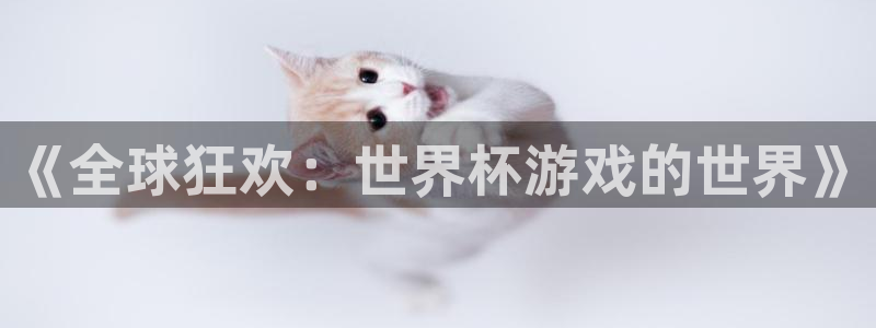2026世界杯亚洲预选赛赛程:《全球狂欢:世界杯游戏的世界》